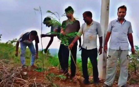 अरावली की पहाड़ी को हरा-भरा बनाने का संकल्प,  कालका माता मंदिर पर पर्यावरण प्रेमियों ने लगाए 251 फलदार और छायादार पौधे