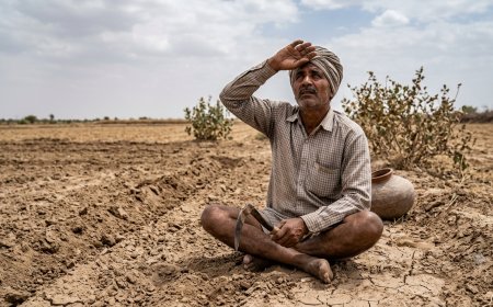 बावड़ी उपखंड में मानसून की बेरुखी, बारिश के इंतजार में अन्नदाता चिंतित; पर्याप्त वर्षा न होने से थमी खरीफ की बुवाई