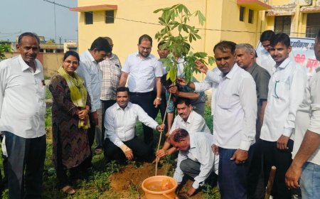 तालुका विधिक सेवा समिति ने चलाया सघन वृक्षारोपण अभियान;  अधिकारियों और कर्मचारियों ने लगाए पौधे