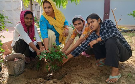 'पेड़ ही धरती का श्रृंगार': महिलाओं ने लिया 251 पौधे लगाने का संकल्प, 10 गांवों का चयन
