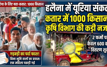 हलैना मेें यूरिया को लगी कतार, कृषि विभाग की नजर में वितरण; दो फर्मो पर आए 600 कट्टे, लेने को एक हजार से अधिक किसान