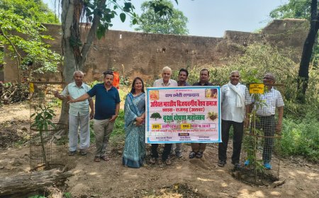 विजयवर्गीय समाज राजगढ़ ने किया  वृहद वृक्षारोपण