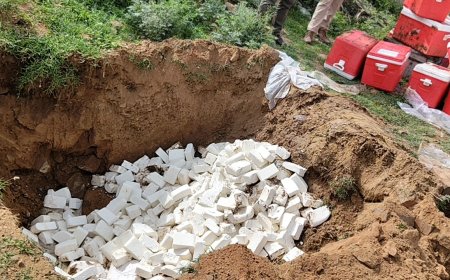 किशनगढ़बास में पुलिस व खाद्य सुरक्षा विभाग की कार्रवाई: 545 किलो बदबूदार सिंथेटिक पनीर कराया नष्ट