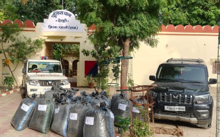 देसूरी पुलिस ने 485 किलो डोडा पोस्त जब्त किया, तस्कर अंधेरे का फायदा उठाकर फरार कार भी बरामद