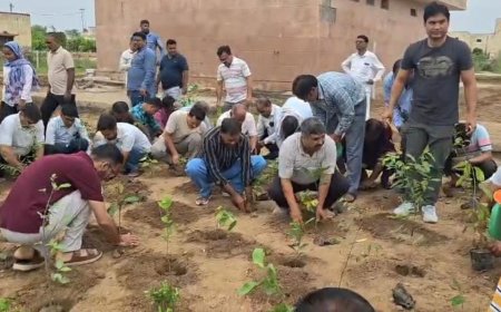 हरियालो राजस्थान अभियान को मिली नई उड़ान, संभागीय आयुक्त ने एमएसजे कॉलेज में किया पौधारोपण