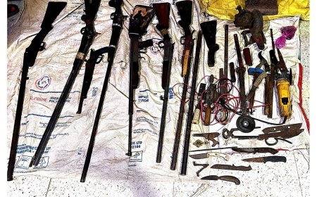 अवैध हथियार बनाने वाली मिनी गन फैक्ट्री का पर्दाफाश, दो आरोपी गिरफ्तार