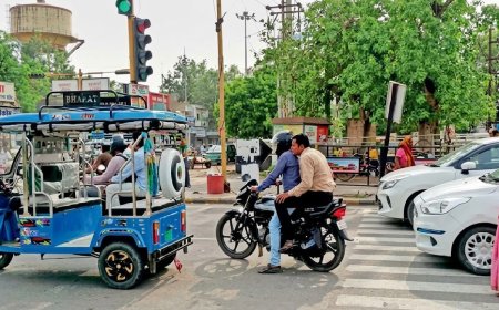 जेब्रा लाइनें राहगीरों के लिए बनीं, इन पर वाहन खड़े हो रहे, समाधान: पुलिस चालान करे, निकाय रेलिंग हटाएं