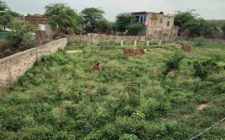 लक्ष्मणगढ़: मंदिर परिसर में सफाई व पार्क विकसित करने को लेकर शिव सेवा समिति ने नगरपालिका को सौंपा ज्ञापन