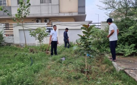 सिर्फ पौधा लगाना ही नहीं, उसकी देखभाल भी है हरियाली की असली जिम्मेदारी-  जिला कलेक्टर