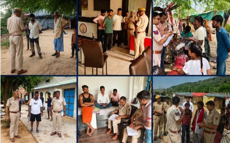 दौसा पुलिस की बड़ी कार्रवाई: विशेष अभियान में 926 बाहरी लोगों की जांच, 8 गिरफ्तार, 454 पर पर्चा 'बी' दर्ज