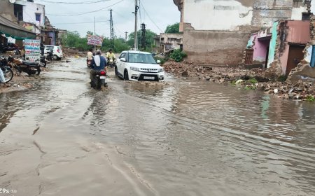 बारिश से किसानों के खिले चेहरे, गर्मी उमस से मिली राहत