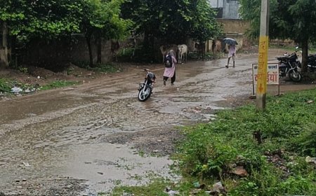महवा: बारिश से खिले किसानों के चेहरे, उमस से मिली राहत, फसलों को मिली नई संजीवनी