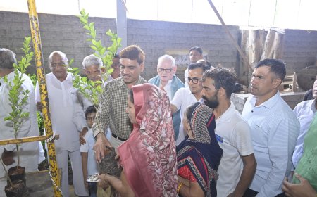 झुंझुनूं में अग्रवाल समाज समिति का पर्यावरण संरक्षण की ओर बड़ा कदम, 2800 कलमी पौधों का वितरण