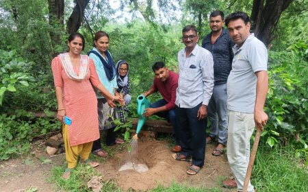 'हरियालो राजस्थान': हलैना वन रेंज कार्यालय पर पौधारोपण कर 'पर्यावरण बचाओ रोग भगाओ' अभियान का आगाज़, 11 पौधे लगाने का आह्वान