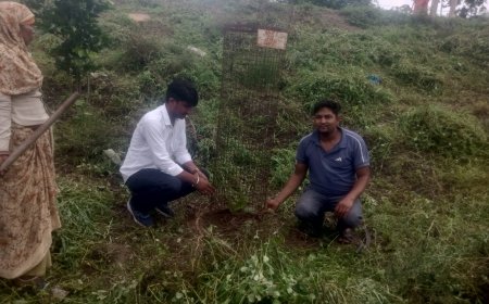 नगर पालिका की पहल: नव-निर्माणाधीन शिव मंदिर प्रांगण में चला स्वच्छता अभियान, पार्क के रूप में होगा विकसित