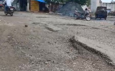धौलपुर में बदहाल सड़क से जनता त्रस्त: गुरुद्वारा से घंटाघर मार्ग पर जलभराव और गहरे गड्ढों ने बढ़ाई मुसीबत, जिम्मेदारों की चुप्पी पर रोष