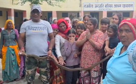 राजकीय जनजाति बालिका आश्रम छात्रावास में निकला सांप, रेस्क्यू टीम ने सुरक्षित पकड़कर जंगल में छोड़ा
