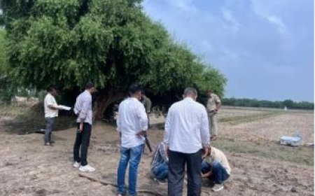 पाली में सनसनीखेज मामला: खेत में पेड़ से लटका मिला एक सप्ताह पुराना शव,एफएसएल टीम ने जुटाए साक्ष्य