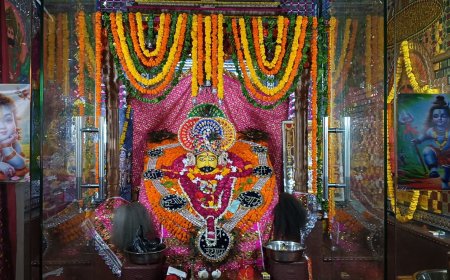 हलैना के खाटूश्याम बाबा मेला में उमडा जनसैलाब; देवशयनी एकादशी सजा बाबा का दरवार
