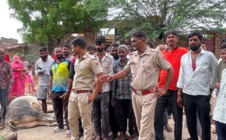 बजरी के ओवरलोड ट्रेलर की टक्कर से सांड की मौत: ग्रामीणों का फूटा गुस्सा, सड़क पर जाम लगा की कड़ी कार्रवाई की मांग