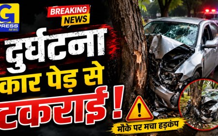 धौलपुर में भीषण सड़क हादसा: उधारी के पैसे वसूलने जा रहे लोगों की कार पेड़ से भिड़ी, दो की मौके पर मौत; तीन की हालत गंभीर