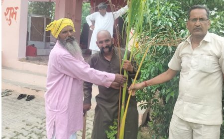 अर्पण सेवा फाउंडेशन का वृक्षारोपण महाअभियान: ग्राम ठाढवाड़ी में 'गुरु रामदेव सियाग वाटिका' का शुभारंभ, लगाए 171 पौधे