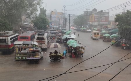 झमाझम बारिश से तरबतर हुआ जहाजपुर, लोगों को उमस से मिली राहत