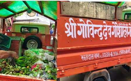 श्री गोविंद गौशाला समिति की अनोखी पहल: सब्जी विक्रेताओं से हरी सब्जियां जुटाकर गोवंश को खिला रहे,गोवंश को मिल रहा आहार
