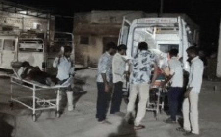 पिता की दवा लेकर लौट रहे मां-बेटे की बाइक मृत पशु से टकराई, खाई में गिरने से दोनों गंभीर घायल