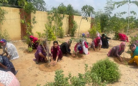 एक पेड़ मां के नाम अभियान के तहत टपूकड़ा कॉलेज में पौधारोपण से दिया पर्यावरण संरक्षण का संदेश