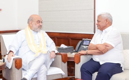 सांसद दामोदर अग्रवाल ने की गृहमंत्री अमित शाह के साथ शिष्टाचार भेंट