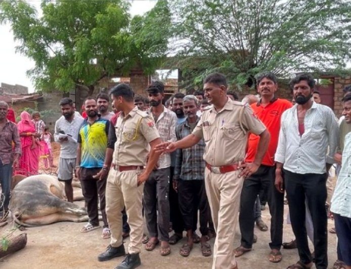 बजरी के ओवरलोड ट्रेलर की टक्कर से सांड की मौत: ग्रामीणों का फूटा गुस्सा, सड़क पर जाम लगा की कड़ी कार्रवाई की मांग