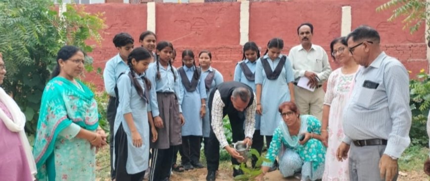 खैरथल बालिका विद्यालय में पौधरोपण, शिक्षकों की कमी पर कार्रवाई का भरोसा