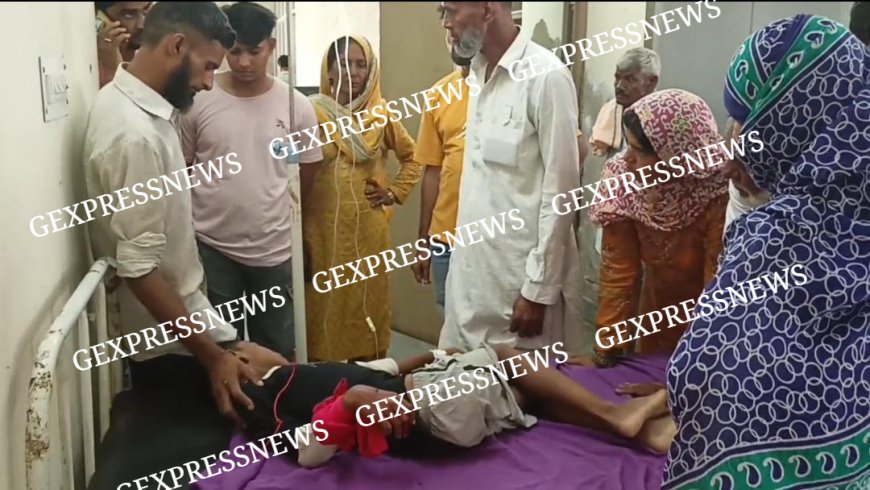 गोविंदगढ़; कमरे में खेल रहे 11 वर्षीय मासूम को सांप ने काटा, गंभीर हालत में अलवर रैफर