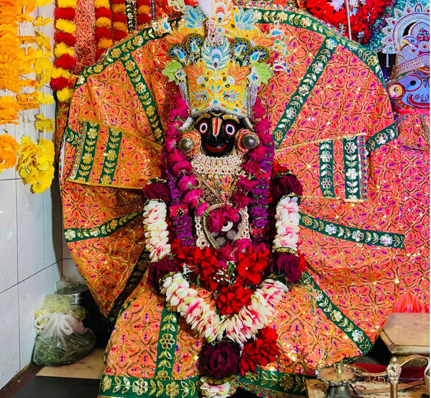भगवान जगन्नाथ 195 वर्ष पुराने गरुड रूपी विमान पर विराजमान होंगे रथ यात्रा 16 जुलाई को