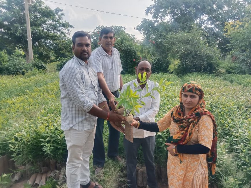 भोजगढ़ नर्सरी से इस सीजन में वितरित होंगे 2.56 लाख पौधे: रेंजर धर्मवीर मील