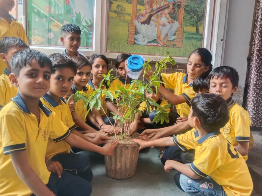जयपुर रोड पर सीपीएस स्कूल में किया वृक्षारोपण; हरियालो राजस्थान के तहत अधिक से अधिक लगे पेड़.... महेंद्र सैनी