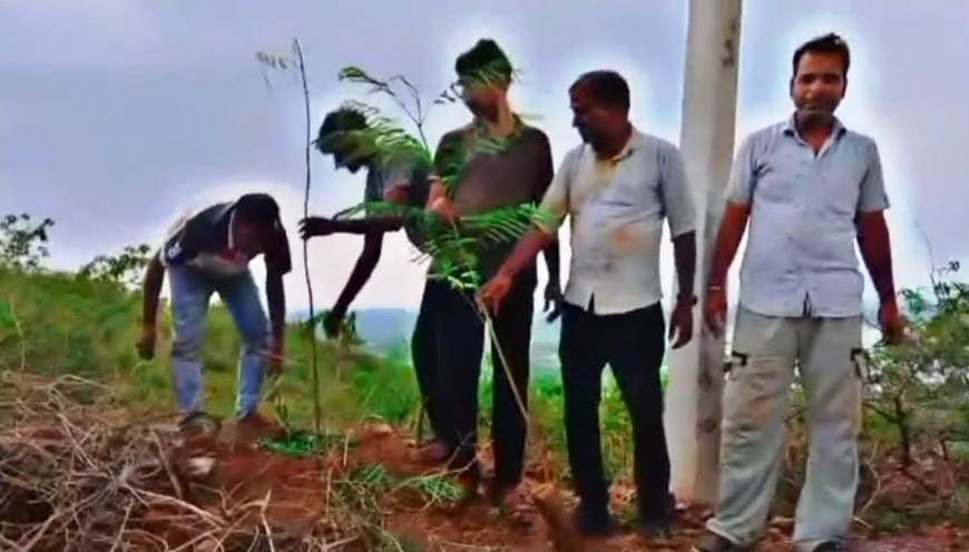 अरावली की पहाड़ी को हरा-भरा बनाने का संकल्प,  कालका माता मंदिर पर पर्यावरण प्रेमियों ने लगाए 251 फलदार और छायादार पौधे
