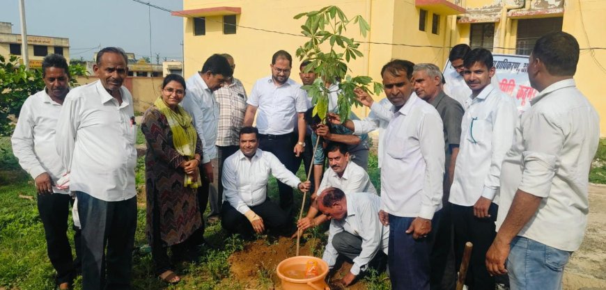 तालुका विधिक सेवा समिति ने चलाया सघन वृक्षारोपण अभियान;  अधिकारियों और कर्मचारियों ने लगाए पौधे