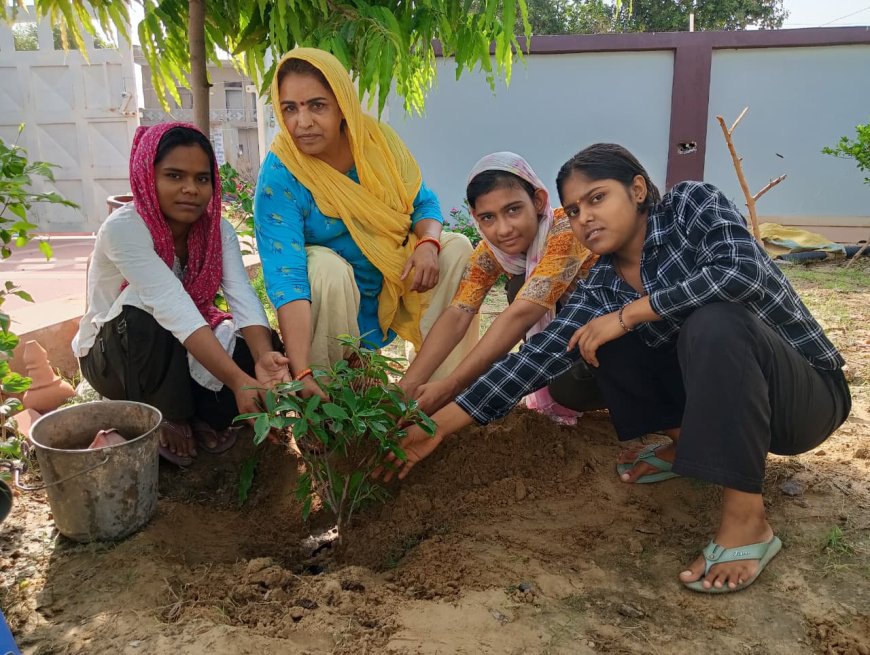 'पेड़ ही धरती का श्रृंगार': महिलाओं ने लिया 251 पौधे लगाने का संकल्प, 10 गांवों का चयन