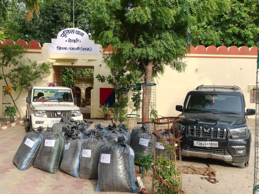 देसूरी पुलिस ने 485 किलो डोडा पोस्त जब्त किया, तस्कर अंधेरे का फायदा उठाकर फरार कार भी बरामद