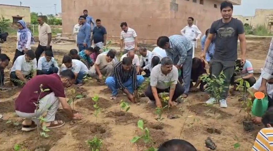 हरियालो राजस्थान अभियान को मिली नई उड़ान, संभागीय आयुक्त ने एमएसजे कॉलेज में किया पौधारोपण