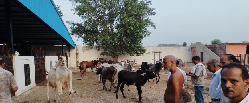 सुधा सागर गौशाला एवं पक्षी आश्रय का अवलोकन कर मुनि श्री सौम्य सागर ने की सराहना