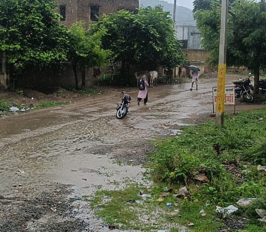 महवा: बारिश से खिले किसानों के चेहरे, उमस से मिली राहत, फसलों को मिली नई संजीवनी