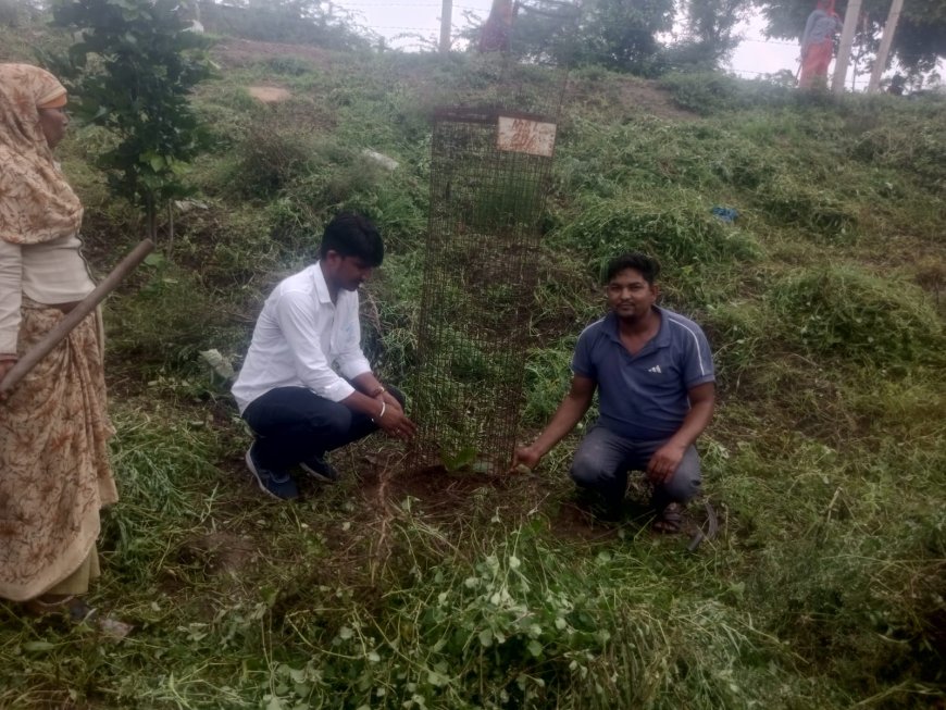 नगर पालिका की पहल: नव-निर्माणाधीन शिव मंदिर प्रांगण में चला स्वच्छता अभियान, पार्क के रूप में होगा विकसित