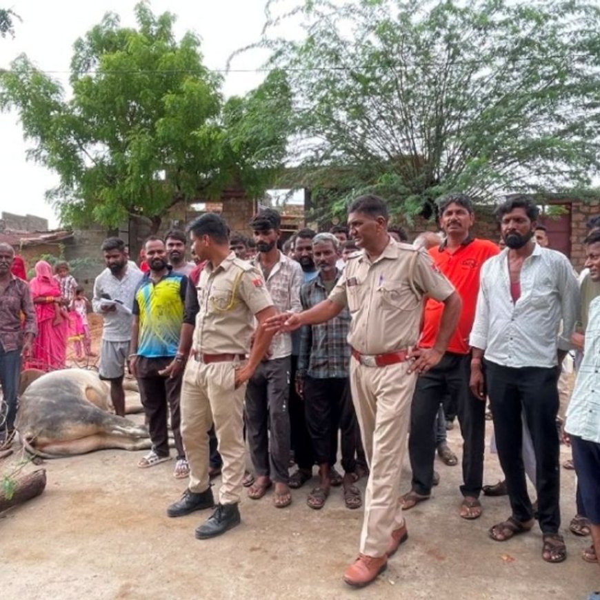 बजरी के ओवरलोड ट्रेलर की टक्कर से सांड की मौत: ग्रामीणों का फूटा गुस्सा, सड़क पर जाम लगा की कड़ी कार्रवाई की मांग