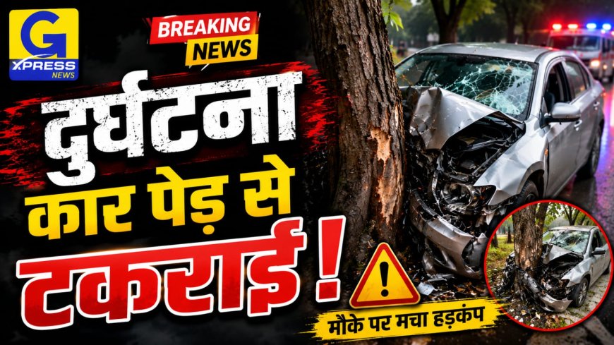 धौलपुर में भीषण सड़क हादसा: उधारी के पैसे वसूलने जा रहे लोगों की कार पेड़ से भिड़ी, दो की मौके पर मौत; तीन की हालत गंभीर