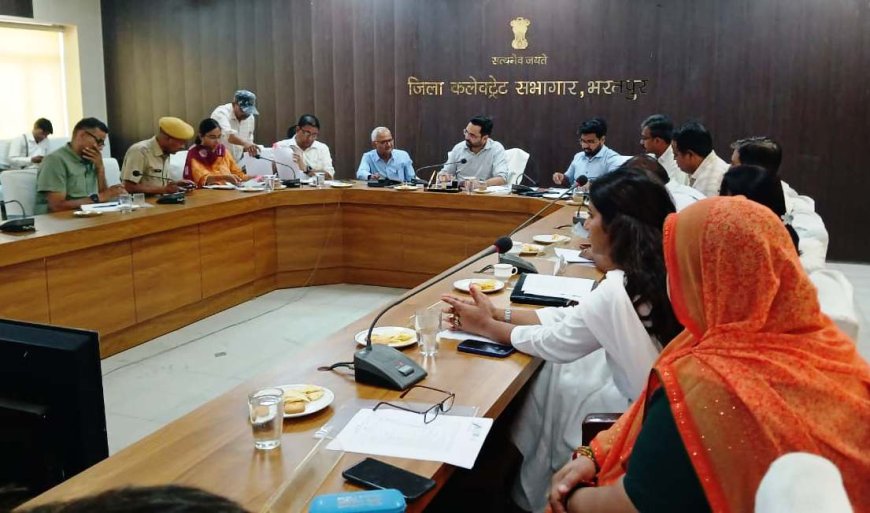 सतर्कता समिति में लंबित प्रकरणों का समयबद्ध निस्तारण करें; आमजन को नहीं लौटाएं निराश-जिला कलक्टर