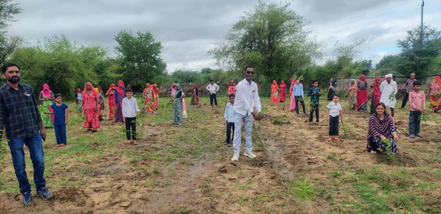 सरपंच व प्रधानाध्यापक रेखा भींचर की अगुवाई में ग्रामीणों और विद्यार्थियों ने किया श्रमदान; राजकीय प्राथमिक विद्यालय प्रतापगढ़ में रोपे 1100 पौधे