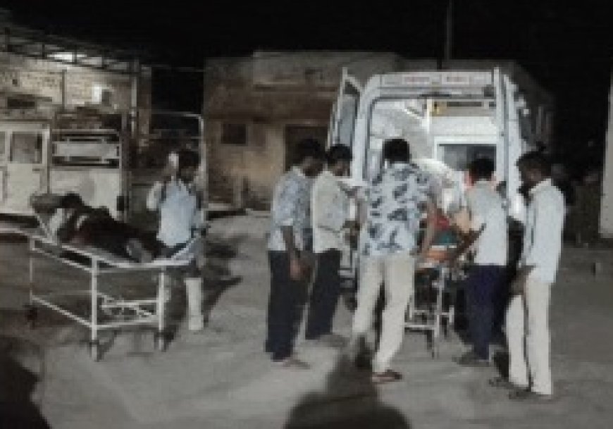 पिता की दवा लेकर लौट रहे मां-बेटे की बाइक मृत पशु से टकराई, खाई में गिरने से दोनों गंभीर घायल